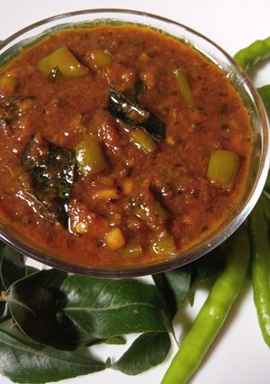 मिरचीचेपंचामृत (mirchiche panchamrut recipe in marathi) रेसिपी चे मुख्य फोटो 