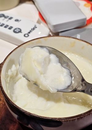 電鍋燉奶 的食譜成品照片