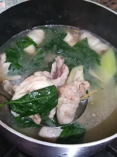 A picture of Tinolang Manok (Filipino Chicken ginger soup).