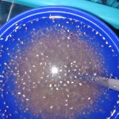 A picture of Chia seeds drink.