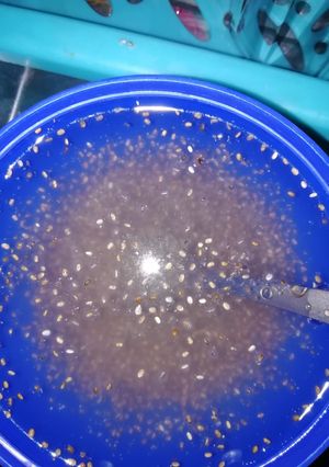 A picture of Chia seeds drink.
