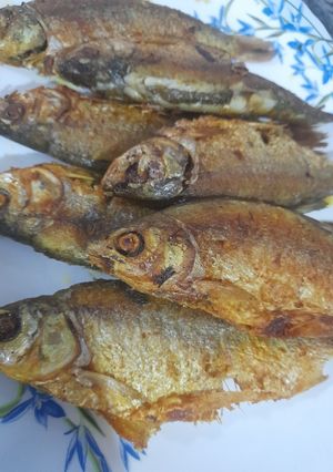 عکسی از دستور کولی شمال 😋😋
