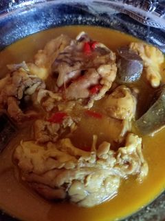 Foto resep Gulai otak Sapi simple
