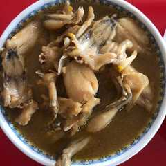 รูปของ Kodok kecap