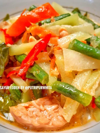 Recipe Sayur Lodeh Labu Siam Favorit Suami the Can Spoil the Tongue Delicious