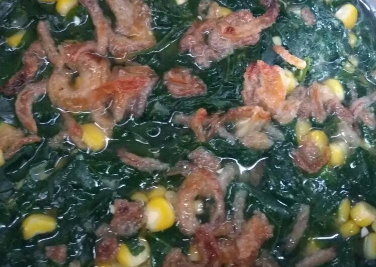 Resep Bening katuk antibosan yang Bikin Ngiler