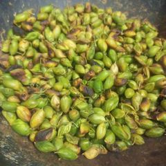 A picture of Roasted Holay.
