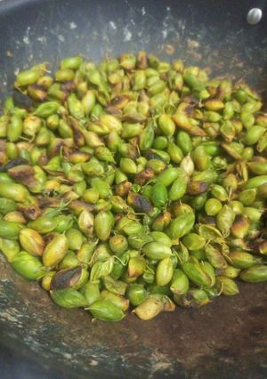 A picture of Roasted Holay.