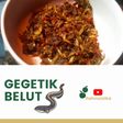 Gegetik Belut Pedas