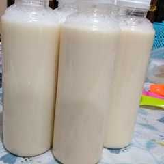 รูปของ Susu Kedelai
