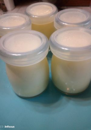 雞蛋布丁 的食譜成品照片