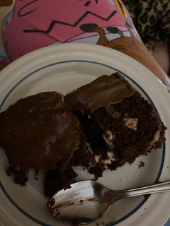 A picture of Chocolate Peppermint Poke Cake.