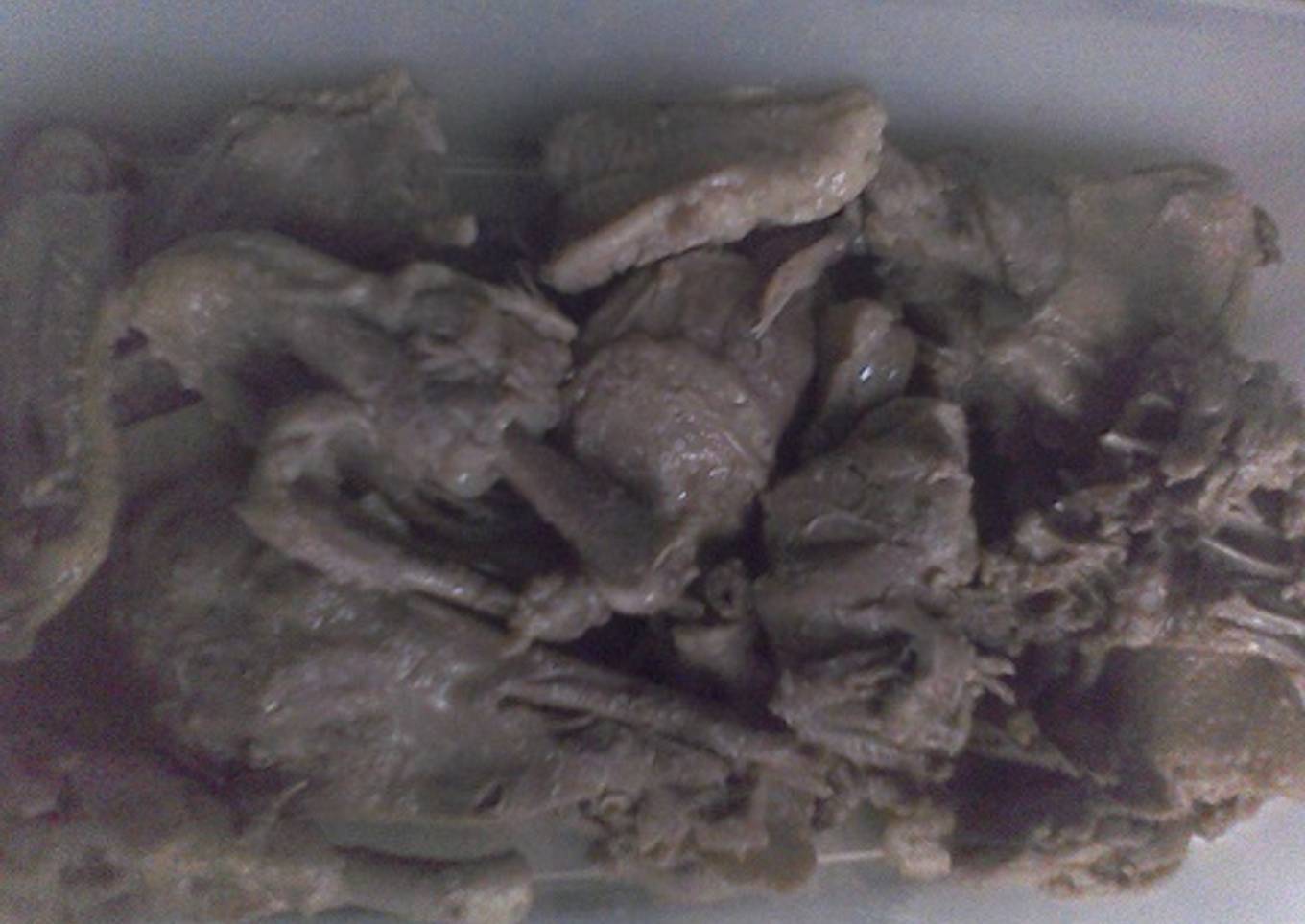 Bebek Presto