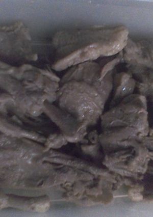Foto resep Bebek Presto