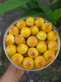 Foto resep Nastar