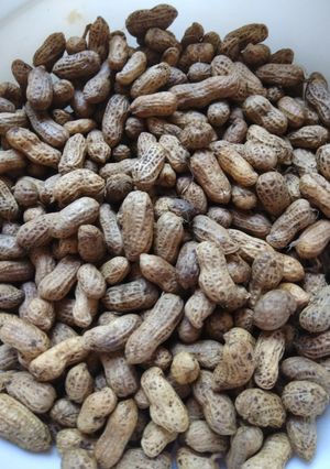 Foto resep Kacang rebus presto