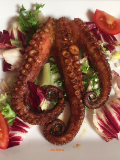 Una foto de Pulpo embarrado