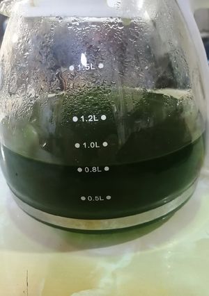 عکسی از دستور شربت نعناء