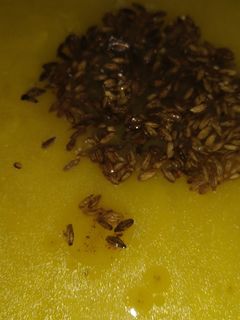 अरहर दाल (Arhar Dal recipe in hindi) रेसिपी मुख्य फोटो
