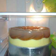 รูปของ Puding regal susu