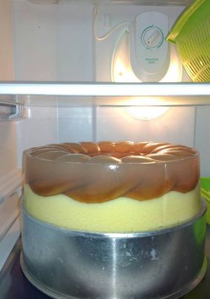 Foto resep Puding regal susu