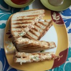 A picture of Mayo Cheese sandich.