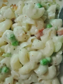 A picture of White sauce macroni.