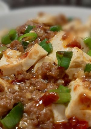 A picture of Chinese Mapo Tofu (Sichuan Cuisine).