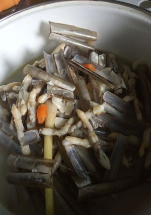 Foto resep Tumis kerang bambu