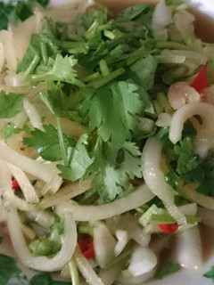 Onion Salad 涼拌果醋洋蔥 的食譜成品照片