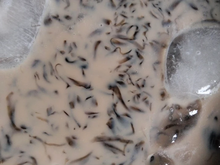 Cara Mudah Membuat Resep Es Cincau Cappucino yang Uenak Anti Ribet, Lezat