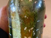 A picture of dill pickles