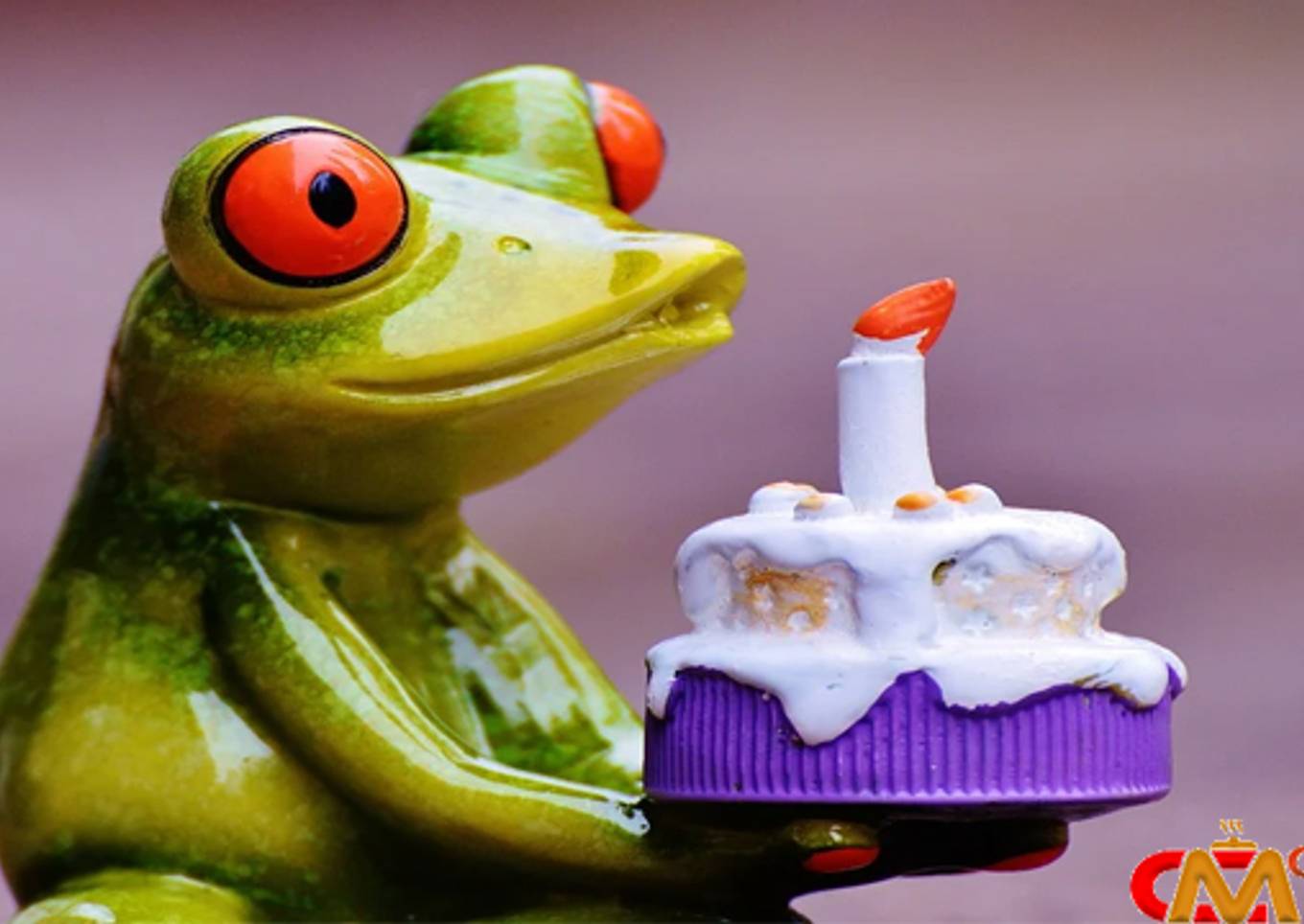 How to make a birthday cake