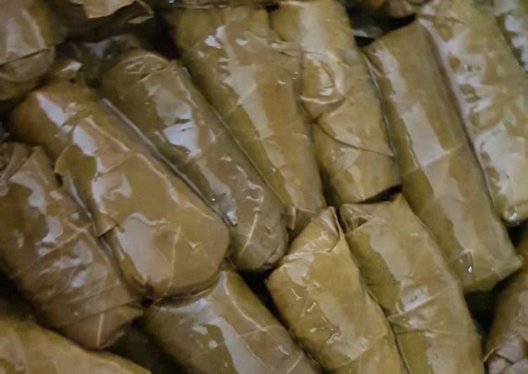 محشي ورق العنب 😋