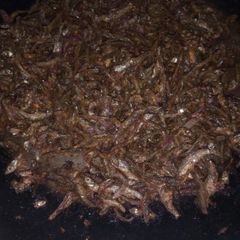 Omena dry fry A picture of Omena dry fry.