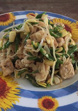 Foto resep Fermented Soy Bean and Bean Sprouts Saute (Tumis Tempe dan Tauge)