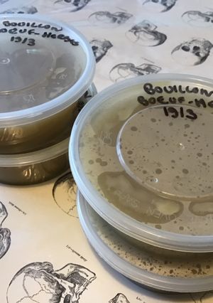 Une photo de Bouillon de bœuf aux herbes fraîches