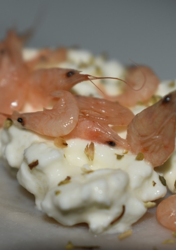 Una foto de Tostas de centeno, queso y pavo #Recetasdefindemes