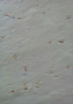 A picture of Orange mandazi.