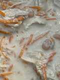 Tricia’s White Chicken Chili