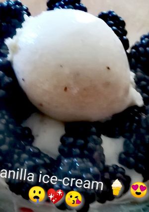 Vegán vanília fagylalt recept fotója