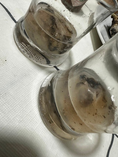 Una foto de Chupito de ostra con vodka