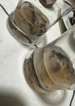 Una foto de Chupito de ostra con vodka