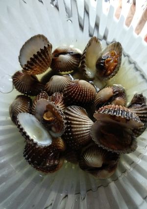 Foto resep Kerang Dara masak Kunci