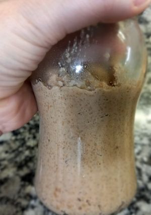 Una foto de Tahini Casero