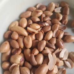 A picture of Groundnut.