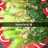 Pokcoy garlic