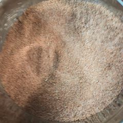 A picture of Rib Rub 2024.