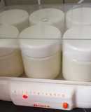 Iogurte Natural (MCC)