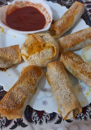 عکسی از دستور بورک گوشت وقارچ